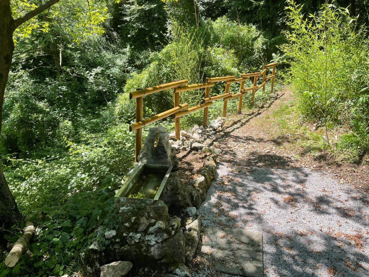 Appartamenti Lago Di Como Valbrona Eksteriør billede